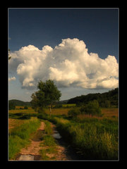 Poľné cesty