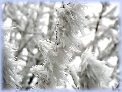 Namraza