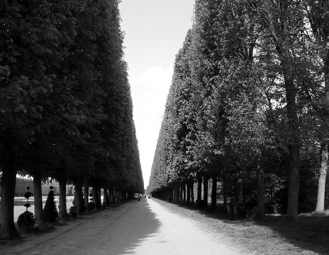 Versailleske zahrady