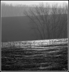 Zavoje