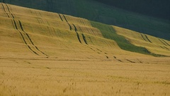 Na letných vlnách