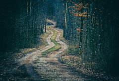 Cesta