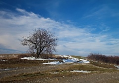 Zima nezima