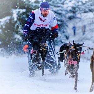 S vyplazenými jazykmi