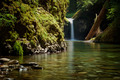 Punchbowl falls