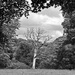 Strom v Killarney National Park