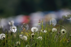 ..odrazove sklicka...