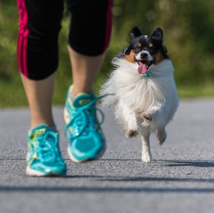 Spoločný jogging