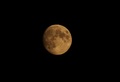 new moon
