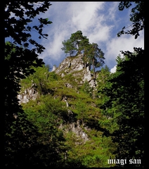 miagi san