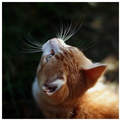 co je to tam hore... ?