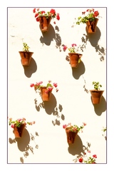 Patio typicos Cordobas