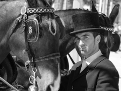 Caballero y caballos