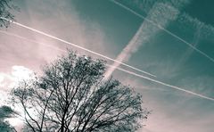 fly_zone_2