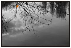 spring leaves2