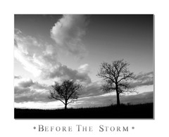 * BEFORE THE STORM * 