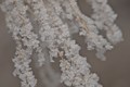 Winter beads