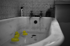 Cistota pol zivota ......