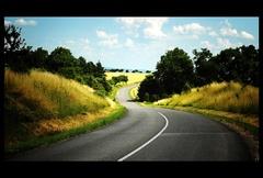 Curve