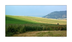 Pieniny