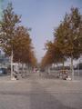 jesen @ Lisboa