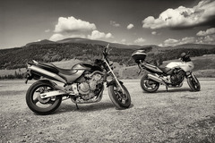 CB 600F + CBF600