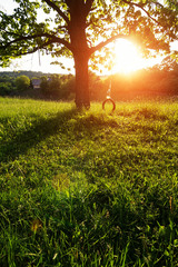 Sedela si na hojdačke pri strome