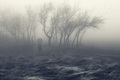 lost