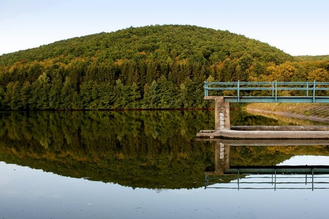 Relax na rybníku.