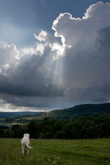 Utekajme bude pršať