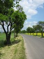 Príroda