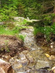 Priroda