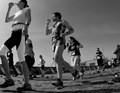 CSOB maraton2016_2