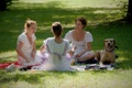 Gardenparty