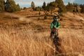 freeride