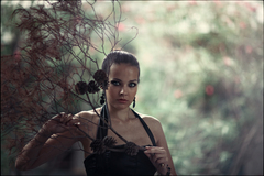 Martina