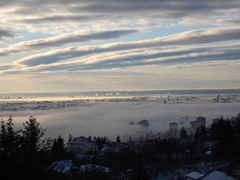 bratislava