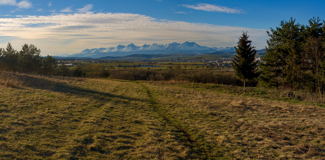 Jarná