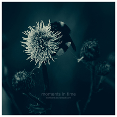moments in time