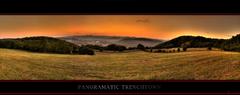 trenchtown