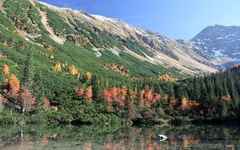 Tatliakove pleso