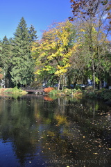 Jesenná I.