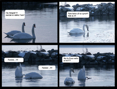 Nezvestny Fero...
