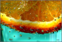 citrus
