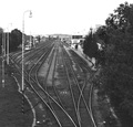 Klasika