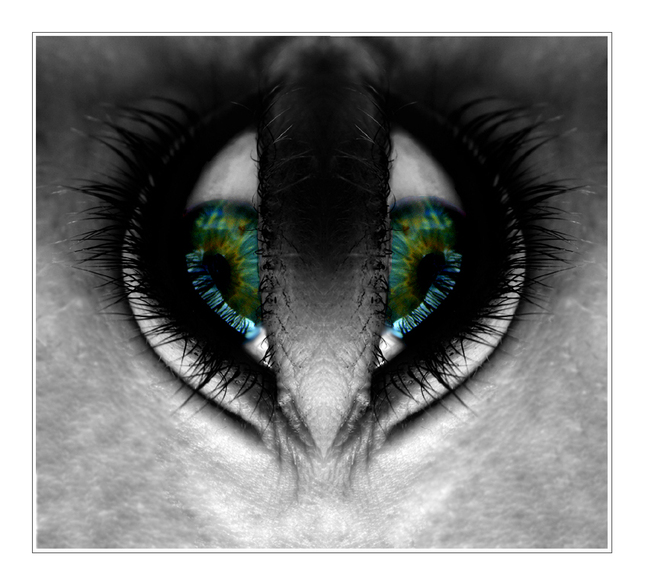 .Mutation.