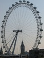 London Eye a Big Bean v jednom