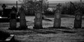 The Beyond