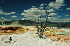 Yellowstone