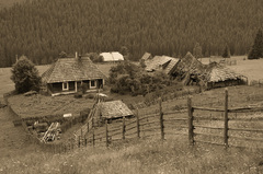 Na samote u lesa